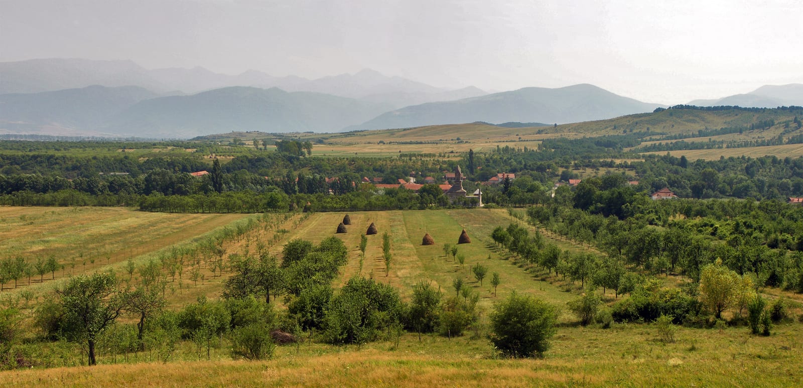Densuș