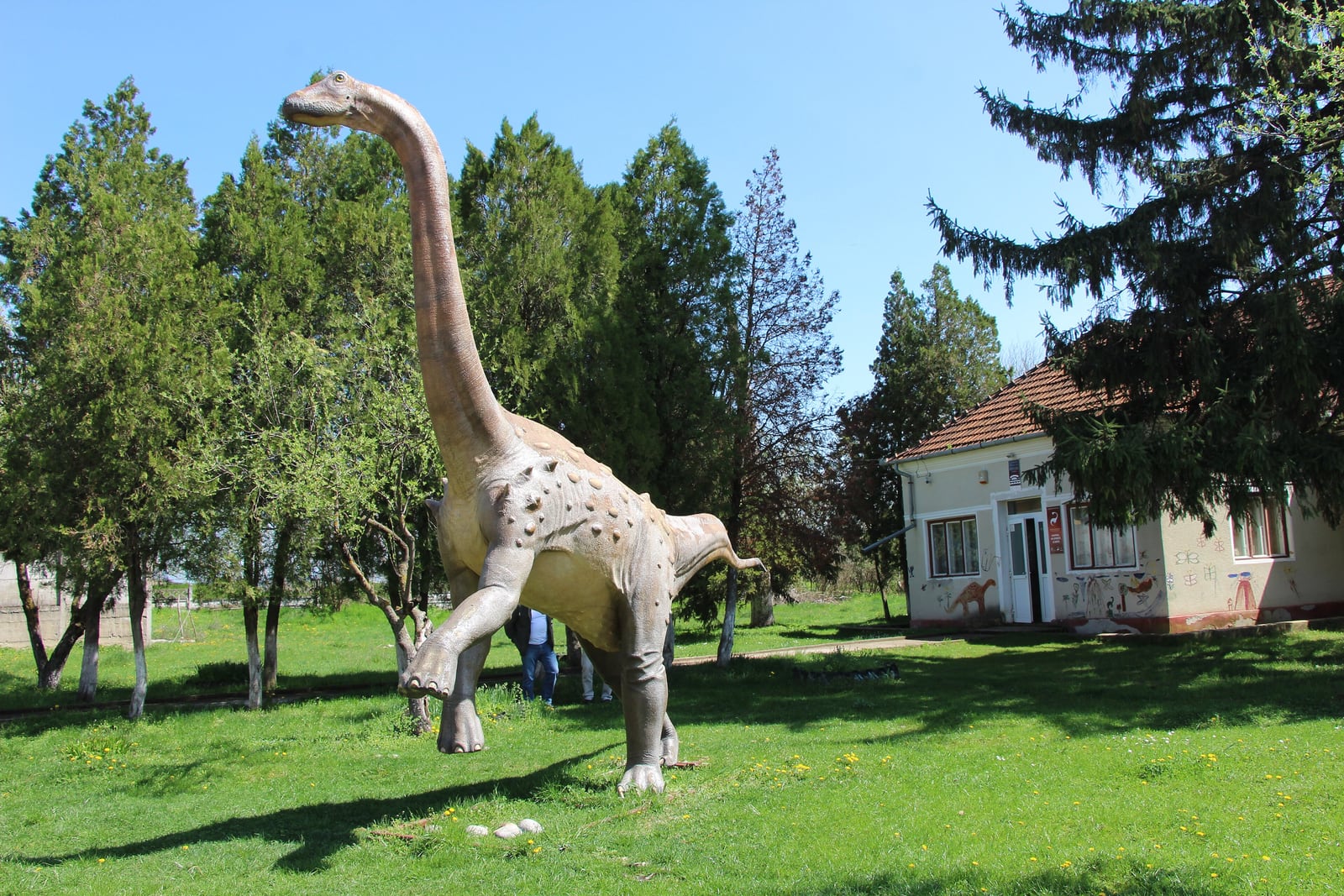 Hațeg Country: castles, stone churches and Sarmizegetusa