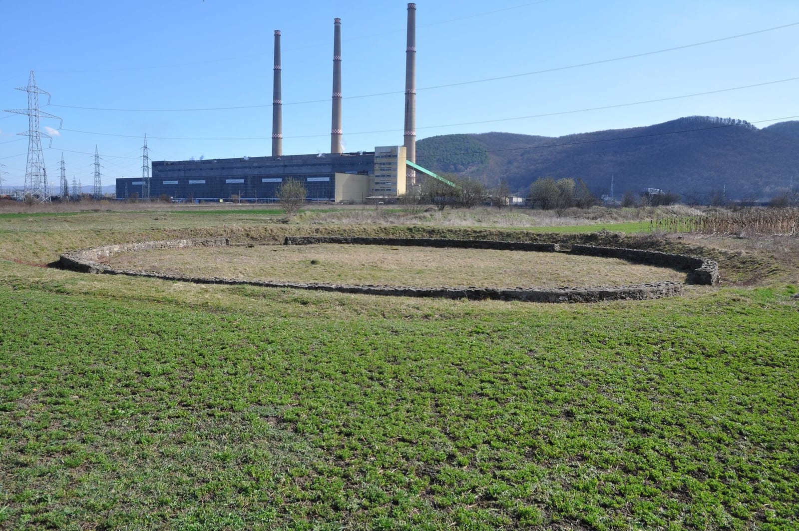 Vețel